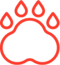 Explore Our Furry Friends