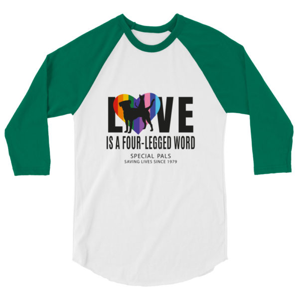 LOVE and PRIDE Raglan Shirt - Image 6