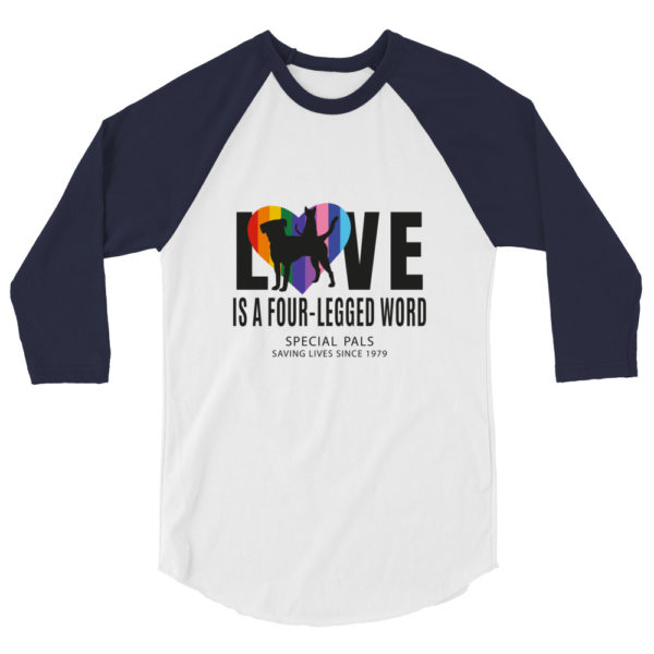 LOVE and PRIDE Raglan Shirt - Image 2