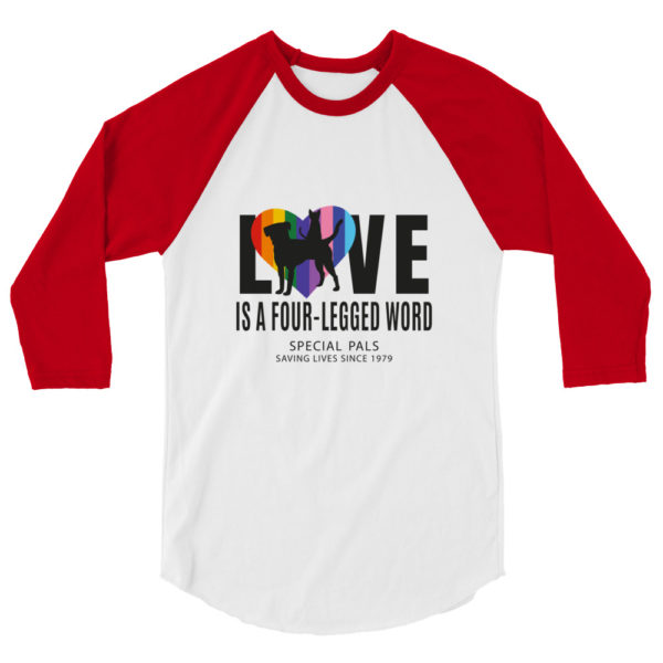 LOVE and PRIDE Raglan Shirt - Image 4