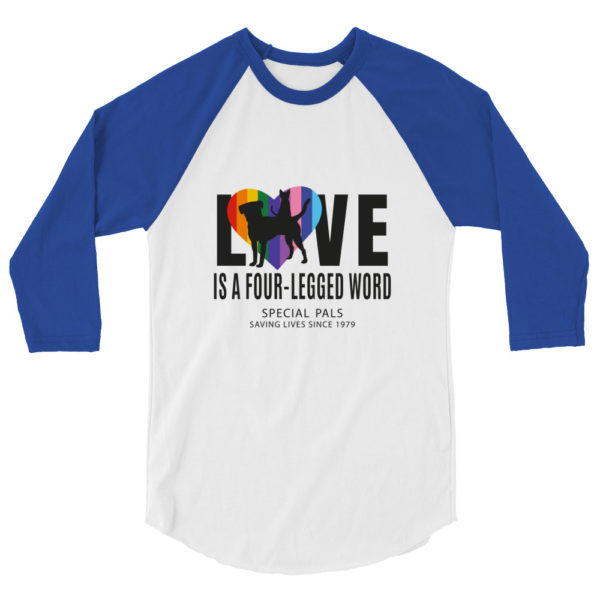 LOVE and PRIDE Raglan Shirt - Image 3